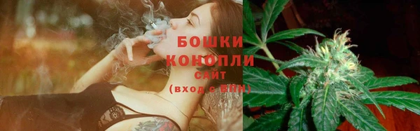 трава Балахна