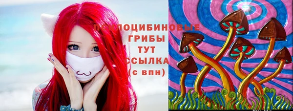 гашик Сосновый Бор