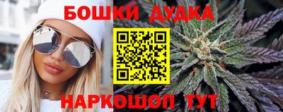 прущие грибы Новокубанск