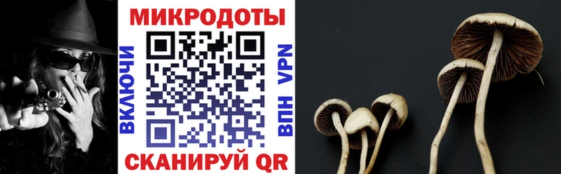 Галлюциногенные грибы Psilocybe  Барабинск 