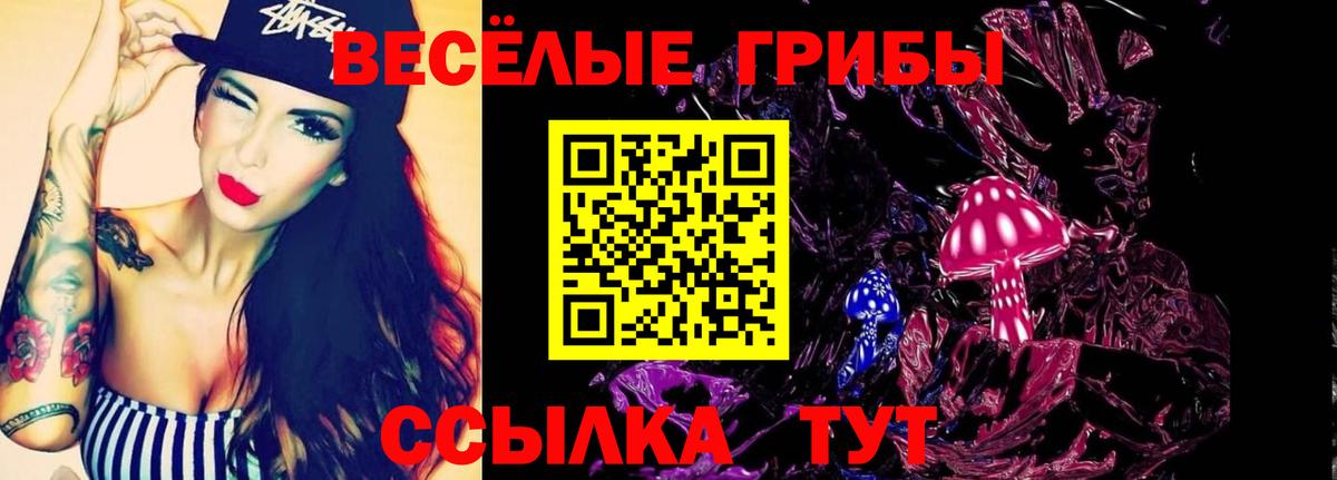 Галлюциногенные грибы Psilocybe  Вход с VPN  Барабинск  Псилоцибиновые грибы MAGIC MUSHROOMS 